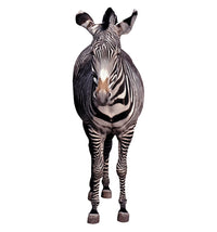 Thumbnail for Zebra - Cardboard Cutout