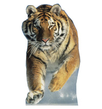 Thumbnail for Life-size Tiger in the snow Cardboard Cutout