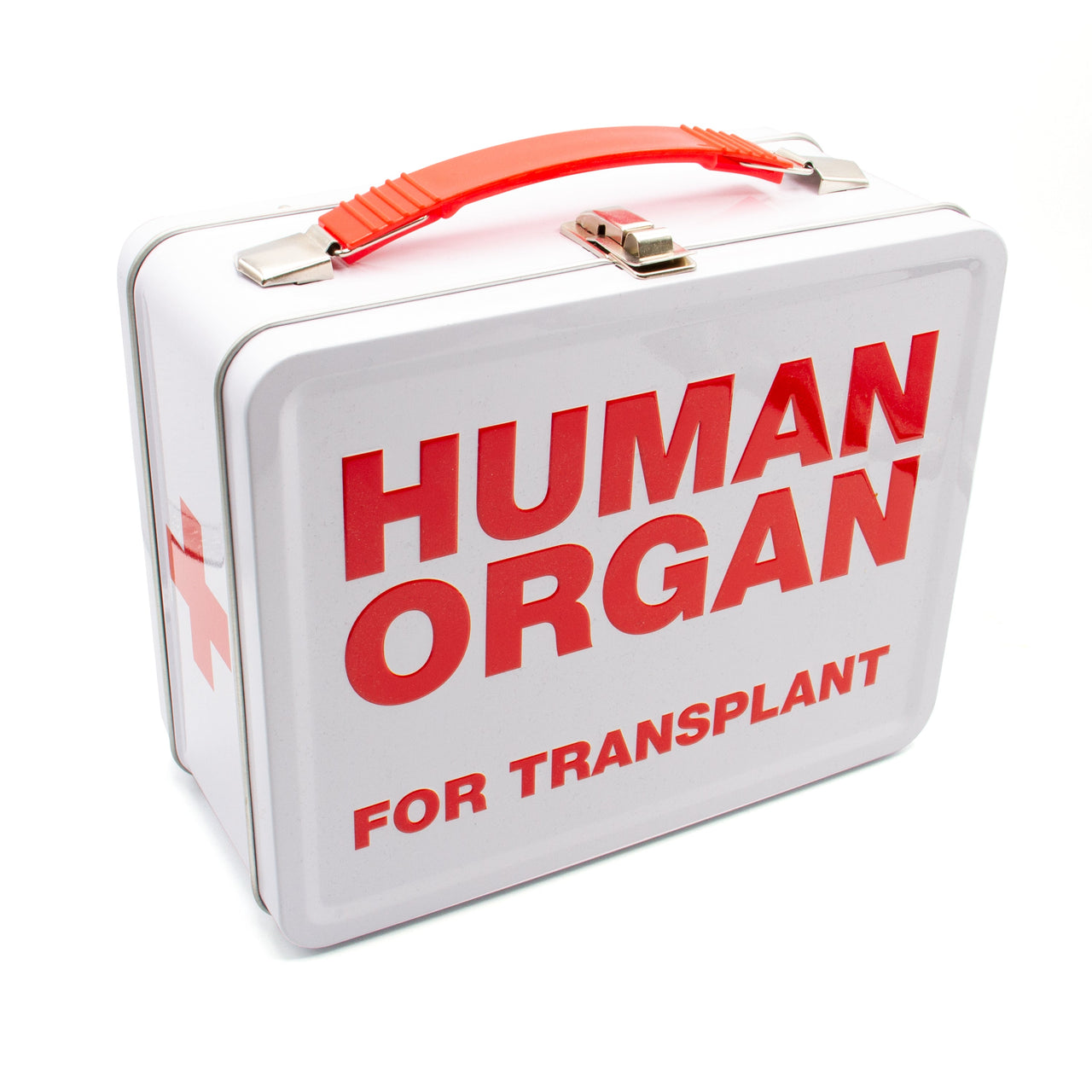 Human Organ Large Fun Box – 3 PC PPK