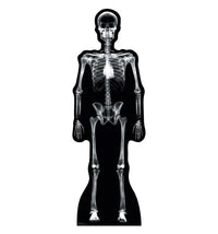 Thumbnail for X-Ray Skeleton - Cardboard Cutout 904