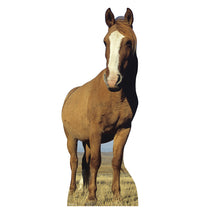 Thumbnail for Horse - Cardboard Cutout 937