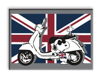 Thumbnail for Peanuts Joe Cool - United Kingdom Flat Magnet (2.5