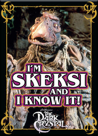Thumbnail for Dark Crystal - Skeksi Flat Magnet (2.5
