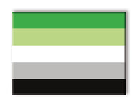 Thumbnail for Pride Flags - Aromantic Flat Magnet (2.5
