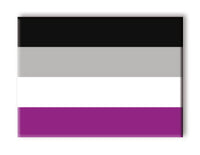Thumbnail for Pride Flags - Asexual Flat Magnet (2.5