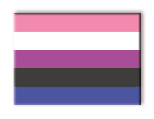 Pride Flags - Gender Fluid Flat Magnet (2.5" x 3.5") – 6 PC PPK