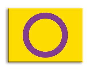 Pride Flags - Intersex Flat Magnet (2.5" x 3.5") – 6 PC PPK
