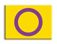 Thumbnail for Pride Flags - Intersex Flat Magnet (2.5