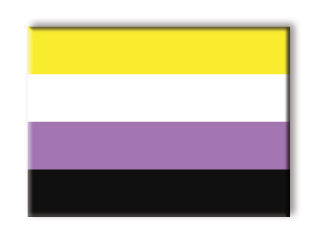 Pride Flags - Non - Binary Flat Magnet (2.5" x 3.5") – 6 PC PPK