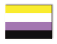 Thumbnail for Pride Flags - Non - Binary Flat Magnet (2.5