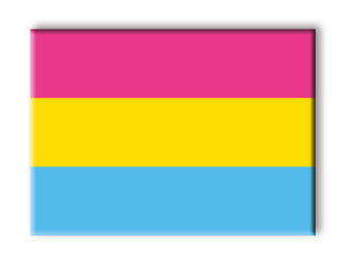 Pride Flags - Pansexual Flat Magnet (2.5" x 3.5") – 6 PC PPK