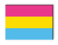 Thumbnail for Pride Flags - Pansexual Flat Magnet (2.5