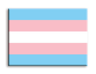 Pride Flags - Trans Flat Magnet (2.5" x 3.5") – 6 PC PPK