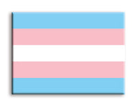 Thumbnail for Pride Flags - Trans Flat Magnet (2.5