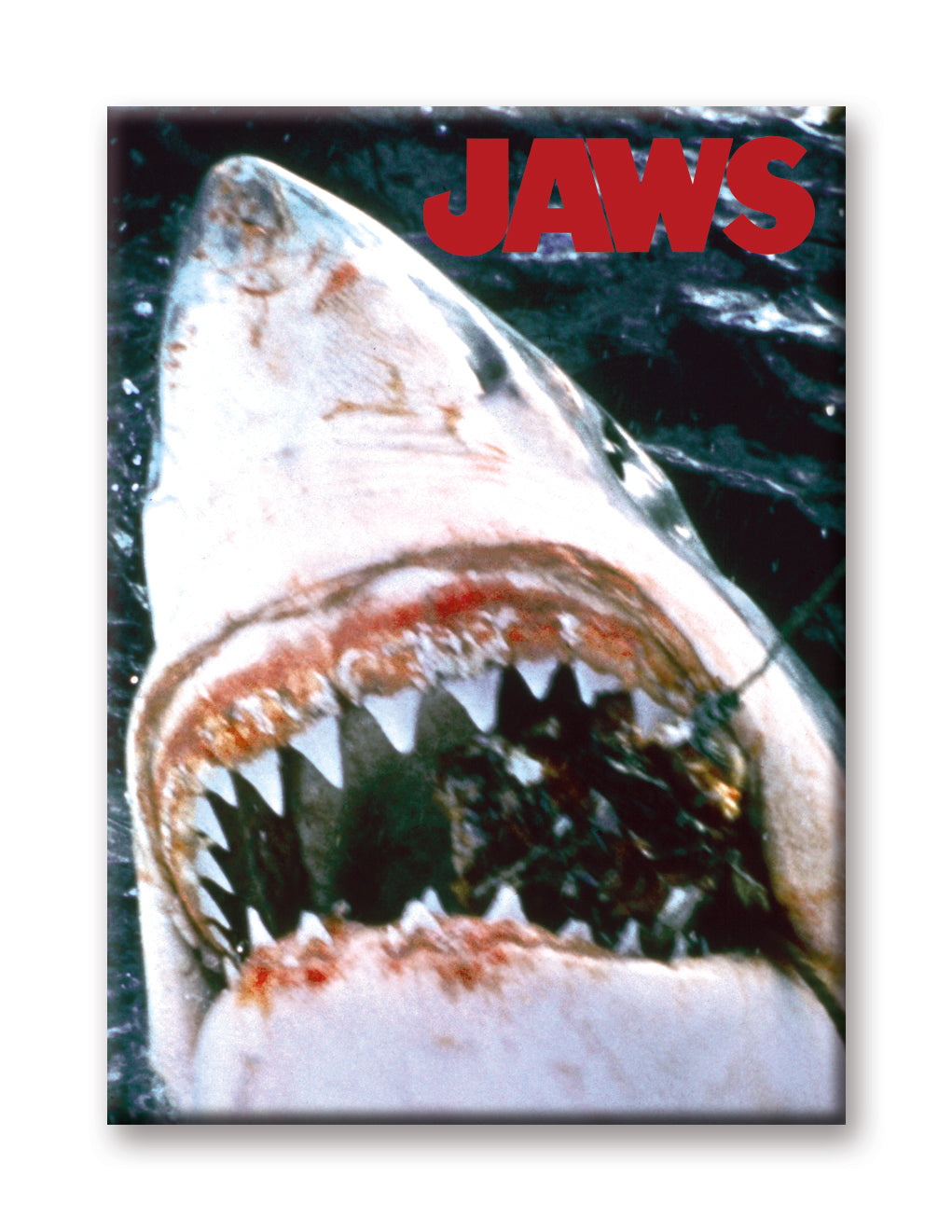 JAWS - Bite Flat Magnet (2.5" x 3.5") – 6 PC PPK
