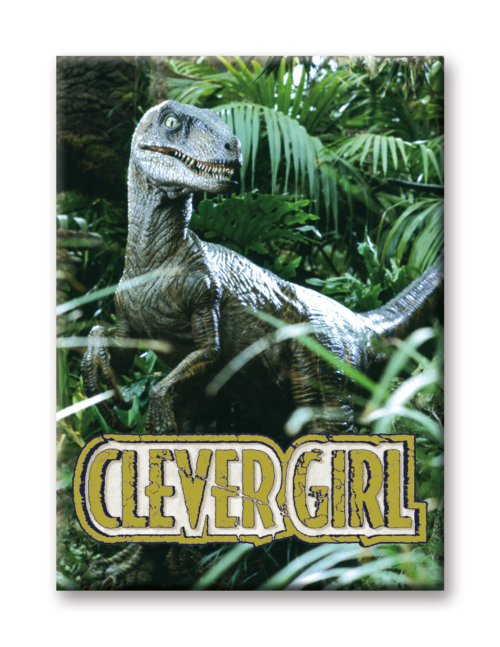 Jurassic Park - Clever Girl Flat Magnet (2.5" x 3.5") – 6 PC PPK