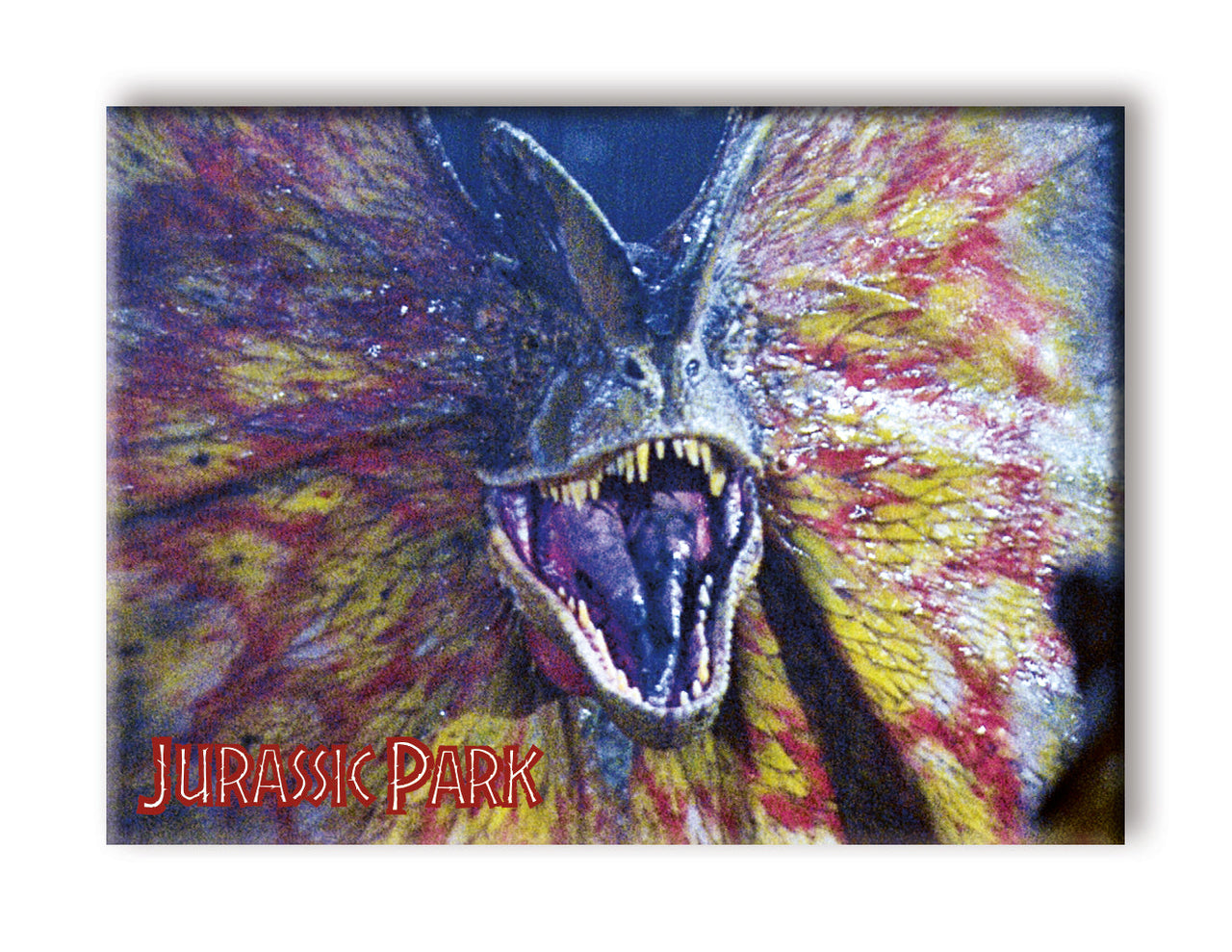 Jurassic Park - Frilled Flat Magnet (2.5" x 3.5") – 6 PC PPK
