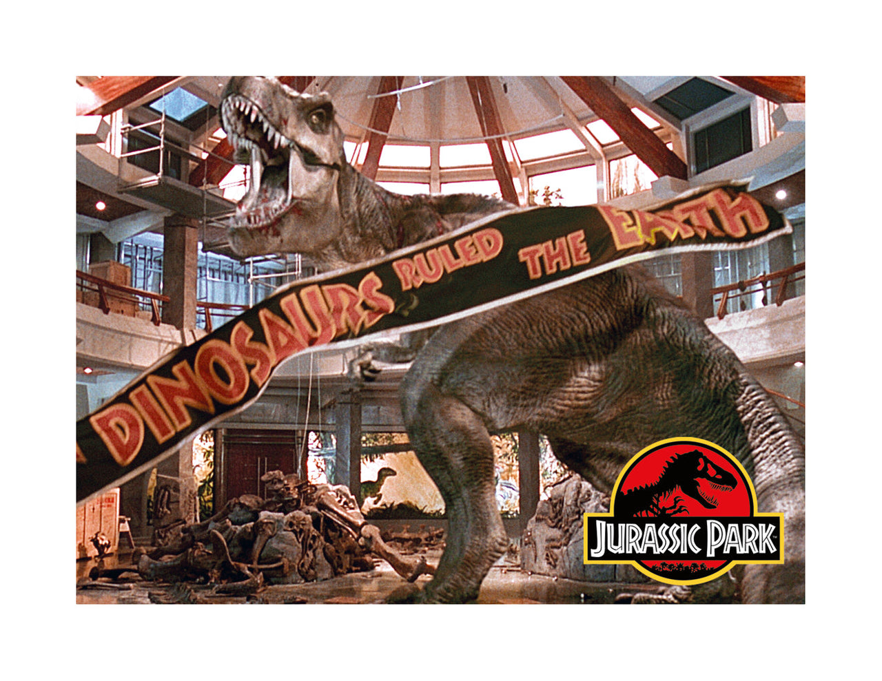 Jurassic Park - T-Rex Banner Flat Magnet (2.5" x 3.5") – 6 PC PPK