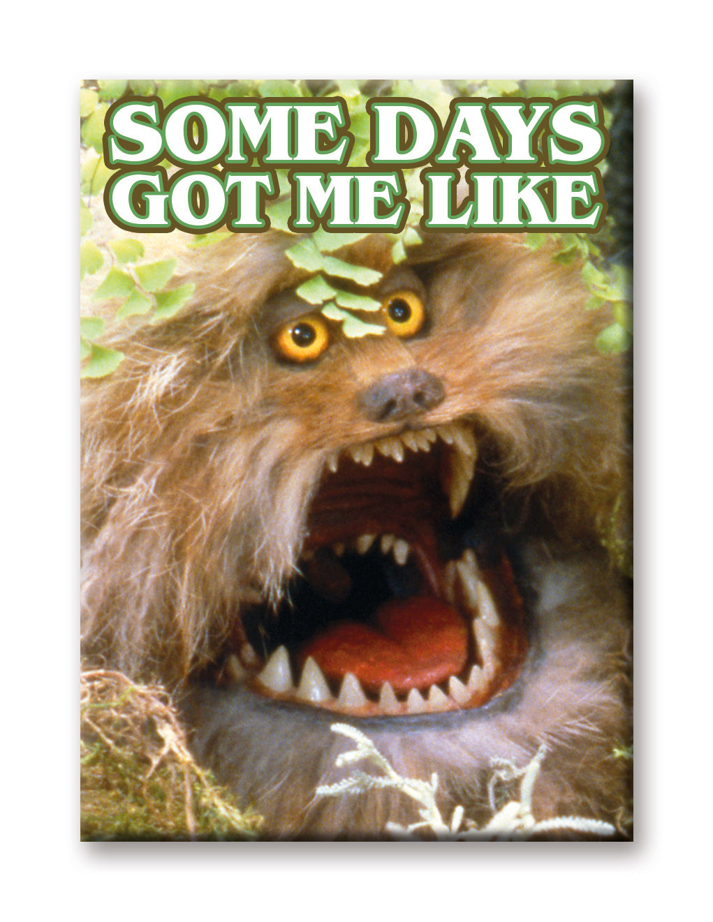 Dark Crystal - Some Days Flat Magnet (2.5" x 3.5") – 6 PC PPK