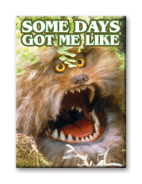 Thumbnail for Dark Crystal - Some Days Flat Magnet (2.5