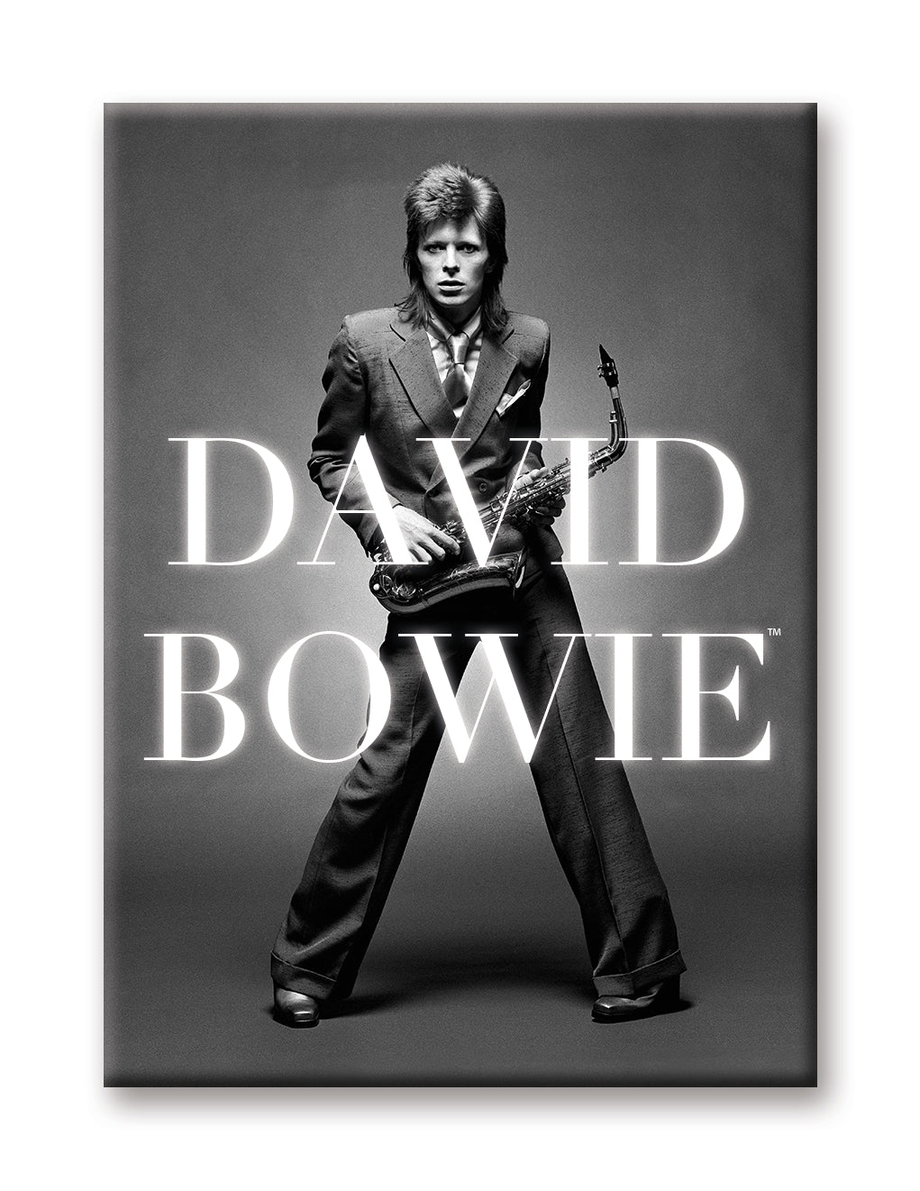 David Bowie - BW Logo Flat Magnet (2.5" x 3.5") – 6 PC PPK