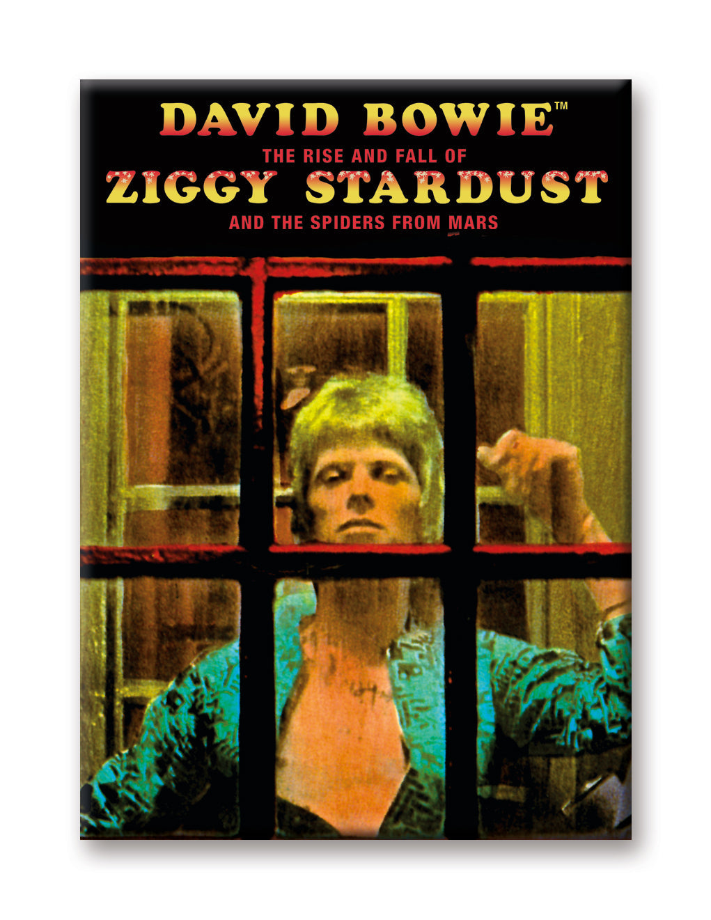 David Bowie - Ziggy Stardust Cover Flat Magnet (2.5" x 3.5") – 6 PC PPK