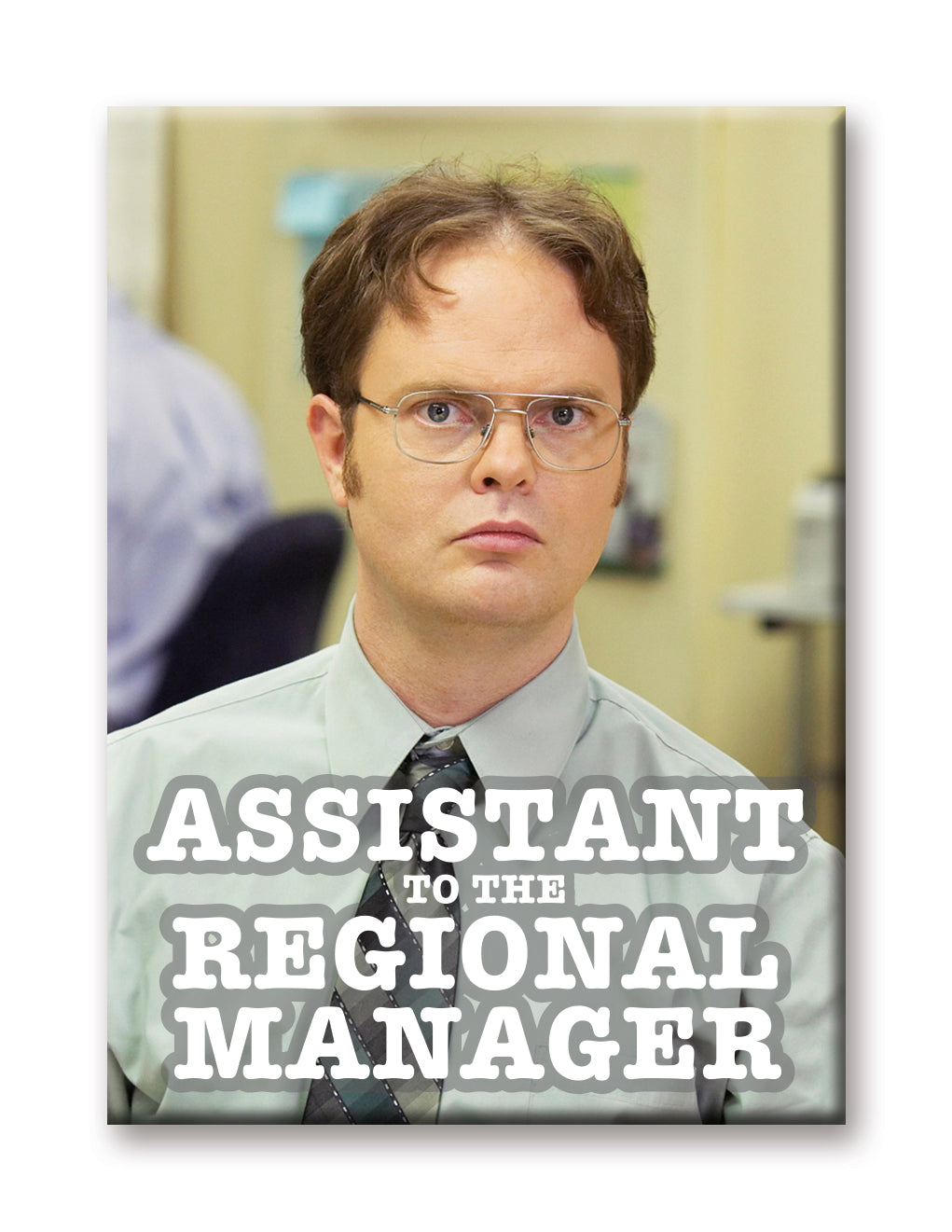 The Office - Assistant Flat Magnet (2.5" x 3.5") – 6 PC PPK