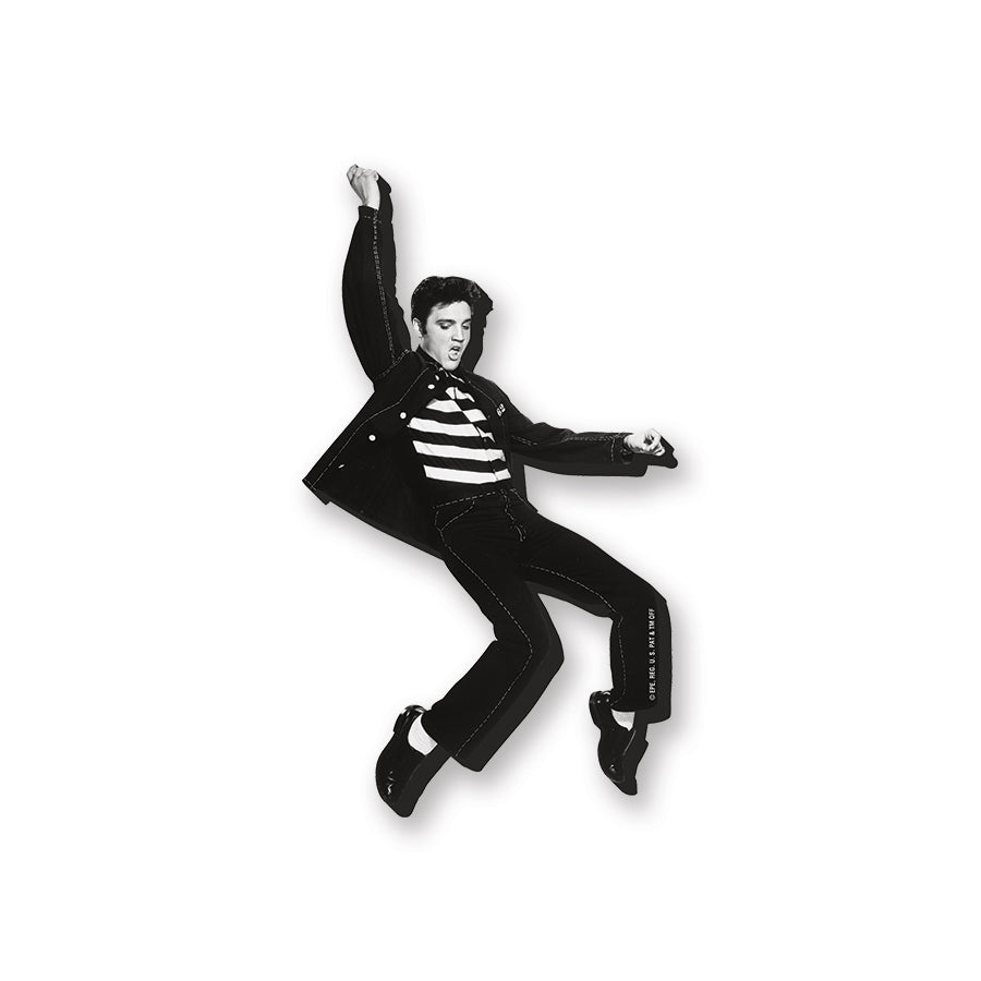 Elvis - Jailhouse Funky Chunky Magnet – 3 PC PPK