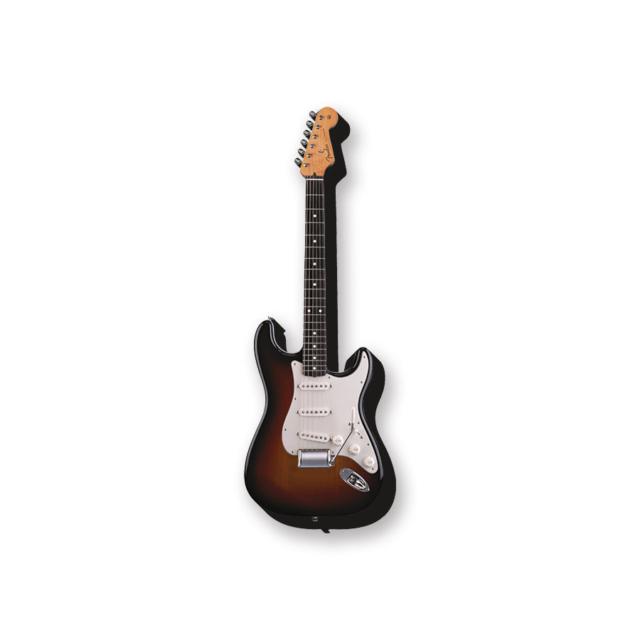Fender Stratocaster Funky Chunky Magnet – 3 PC PPK
