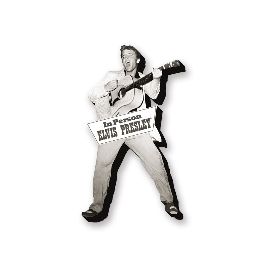 Elvis - Tupelo Funky Chunky Magnet – 3 PC PPK