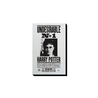 Thumbnail for Harry Potter Wanted Funky Chunky Magnet – 3 PC PPK ($3.70 each)