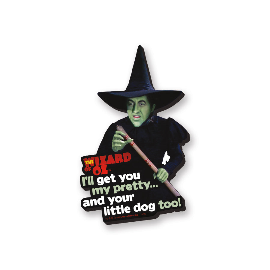 Wizard of Oz - Witch Funky Chunky Magnet – 3 PC PPK