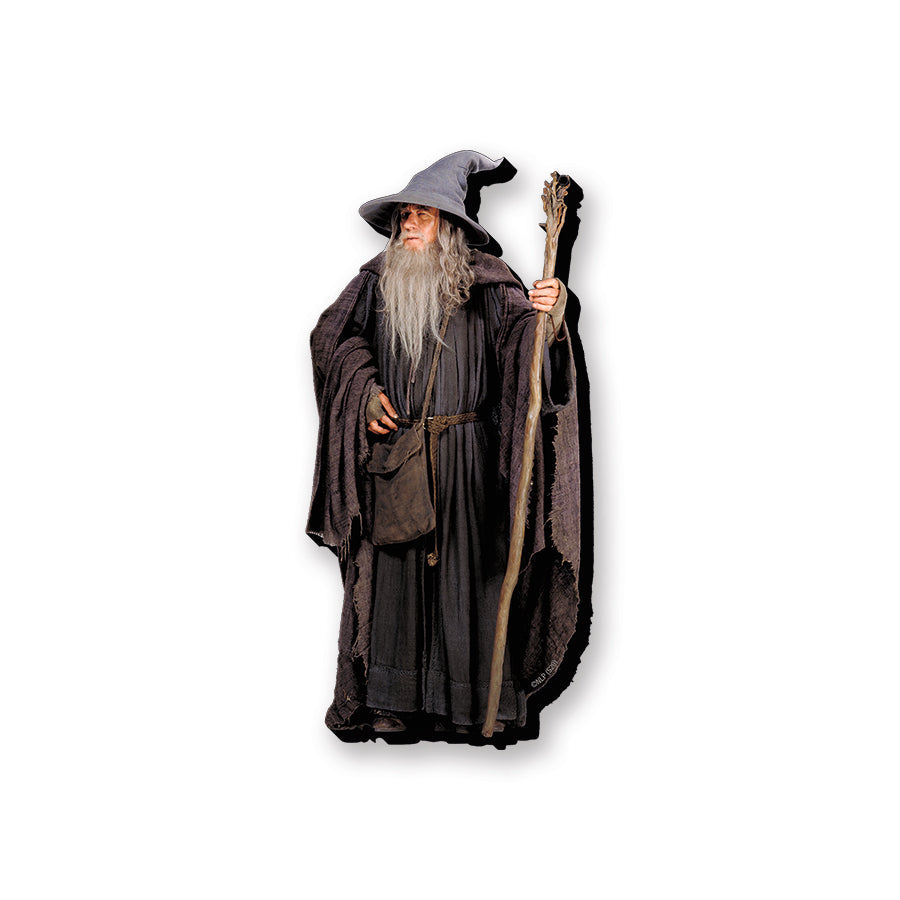 Lord of the Rings Gandalf Funky Chunky Magnet – 3 PC PPK