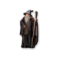 Thumbnail for Lord of the Rings Gandalf Funky Chunky Magnet – 3 PC PPK