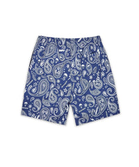 Thumbnail for Bandana Poolside Shorts