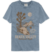 Thumbnail for American Classics Parks - Hottest Place On Earth Comfort Color T-Shirt