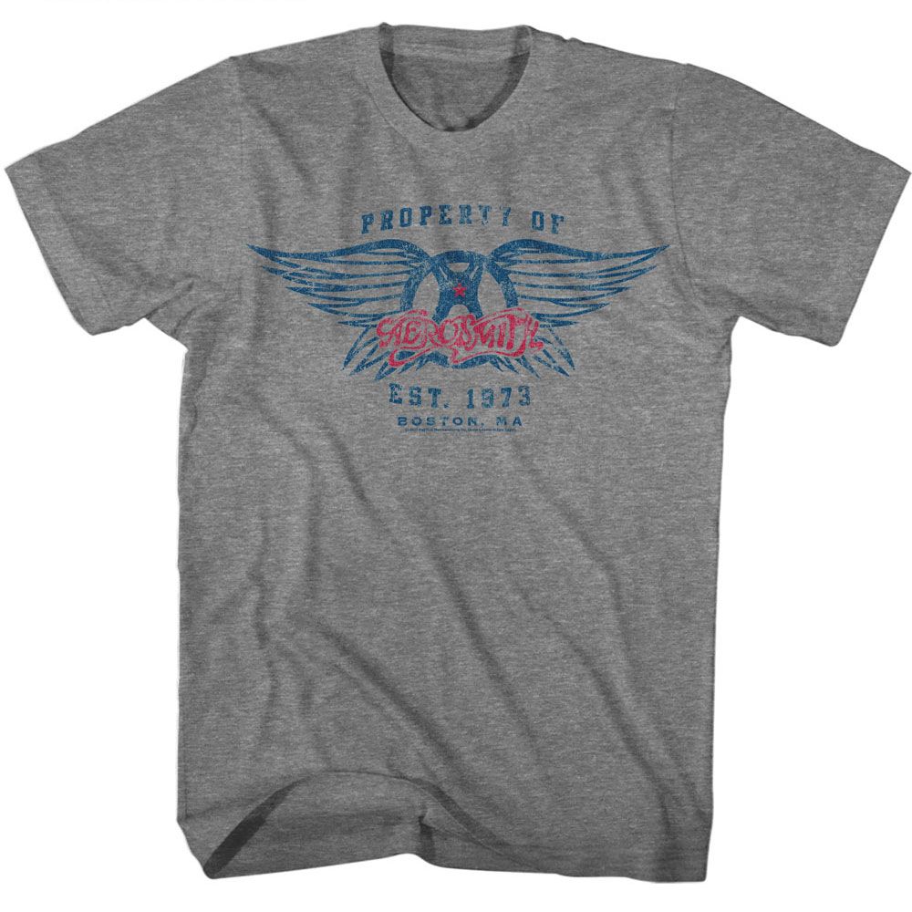 AEROSMITH-EST 1973-GRAPHITE HEATHER ADULT S/S TSHIRT
