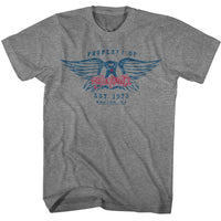 Thumbnail for AEROSMITH-EST 1973-GRAPHITE HEATHER ADULT S/S TSHIRT