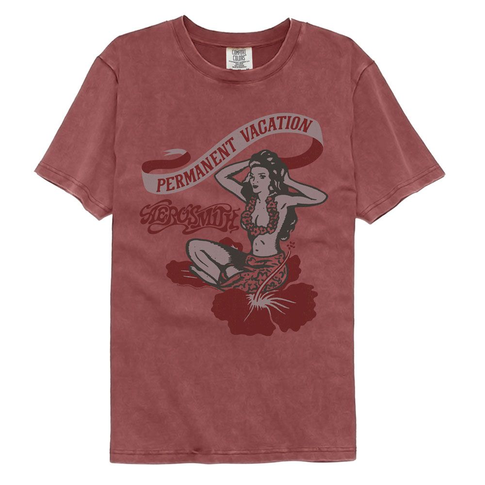 AEROSMITH-AEROSMITH PV-BRICK ADULT S/S COMFORT COLOR TSHIRT