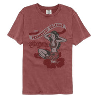 Thumbnail for AEROSMITH-AEROSMITH PV-BRICK ADULT S/S COMFORT COLOR TSHIRT