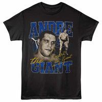 Thumbnail for Andre the Giant