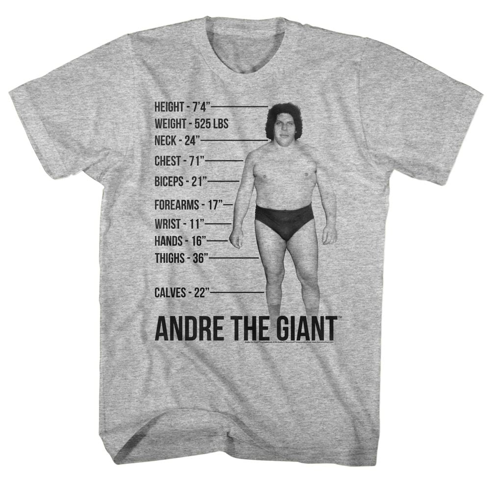 ANDRE THE GIANT-GIANT SPECS-GRAY HEATHER ADULT S/S TSHIRT