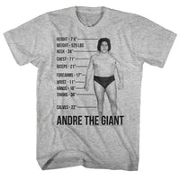 Thumbnail for ANDRE THE GIANT-GIANT SPECS-GRAY HEATHER ADULT S/S TSHIRT