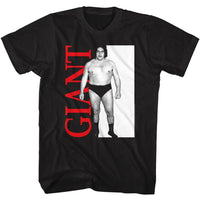 Thumbnail for ANDRE THE GIANT-ANDRE GIANT-BLACK ADULT S/S TSHIRT