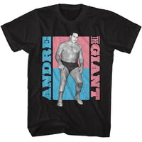 Thumbnail for ANDRE THE GIANT-ANDRE THE GIANT ATG COLOR BLOCKS-BLACK ADULT S/S TSHIRT