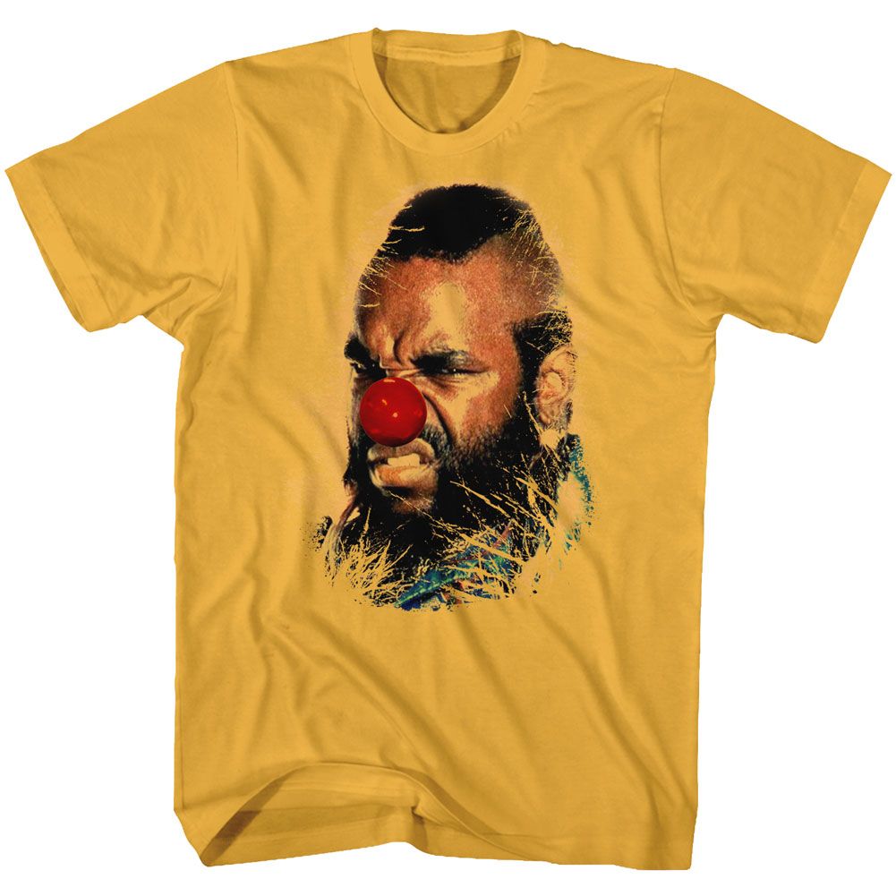 MR T-WHY MUST I-GINGER ADULT S/S TSHIRT