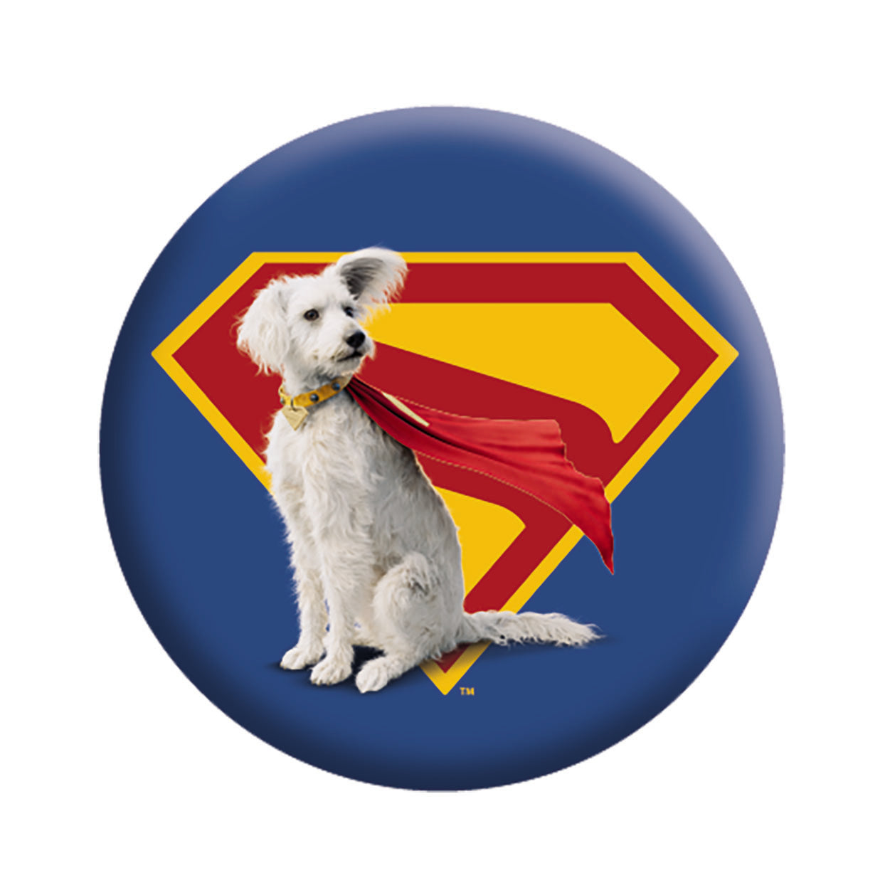 Superman Krypto 1.25" Button - 6 pc prepack