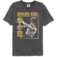 Thumbnail for BRUCE LEE-BRUCE LEE PERPENDICULAR PUNCH-PEPPER COMFORT COLOR ADULT S/S TSHIRT