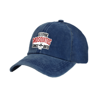 Thumbnail for BRIEF INSANITY's Feeding Mosquitos Faux Suede Patch Adult Cap