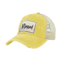 Thumbnail for BRIEF INSANITY Blessed Vintage Distressed Trucker Adult Hat